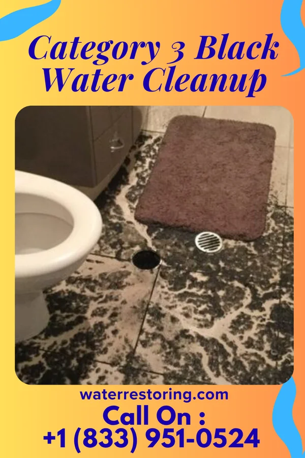 Category 3 Black Water Cleanup in Alexandria, OH