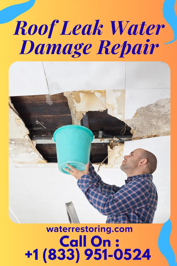 Roof Leak Water Damage Repair in Alexandria, OH