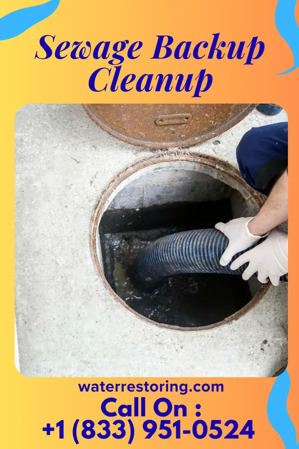 Sewage Backup Cleanup in Alexandria, OH
