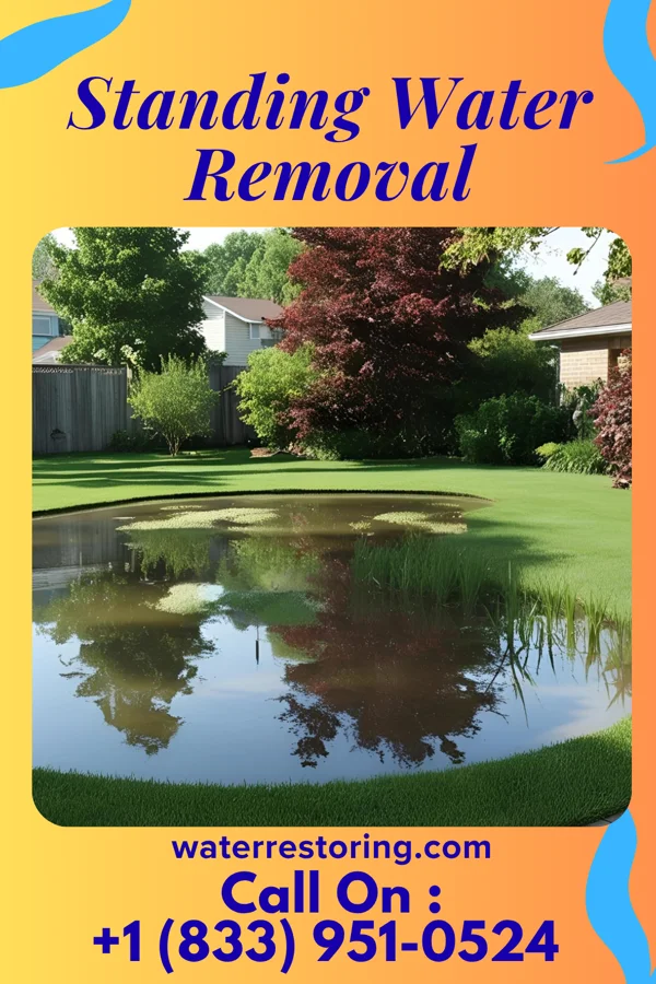 Standing Water Removal in Alexandria, OH